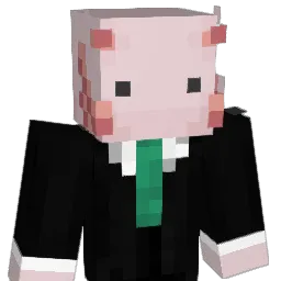 doctor_drogon Minecraft avatar bust