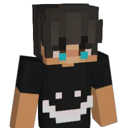dodidi Minecraft avatar bust
