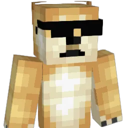 doge228 Minecraft avatar bust
