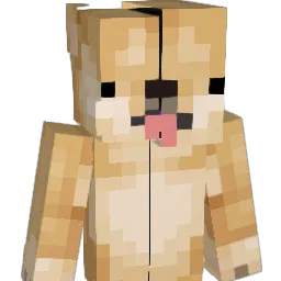 dogemaster123567 Minecraft avatar bust