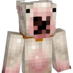 dogpickle3 Minecraft avatar bust