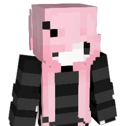 dolinho12345 Minecraft avatar bust