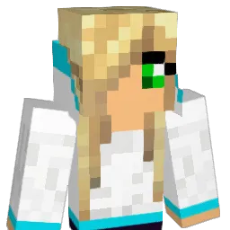 dollonhead Minecraft avatar bust