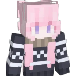 dolphin1019 Minecraft avatar bust