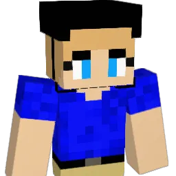 dolphinplus Minecraft avatar bust