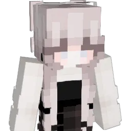 doly061118 Minecraft avatar bust