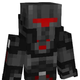 dom1000