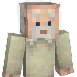 dom7897 Minecraft avatar bust