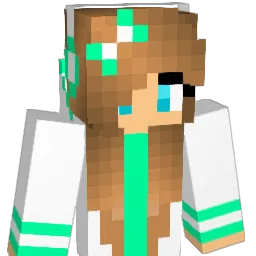domdom1004 Minecraft avatar bust