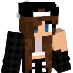 dome_1337 Minecraft avatar bust