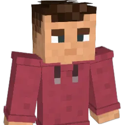 dominik_vimh Minecraft avatar bust