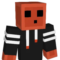 dominoland11 Minecraft avatar bust