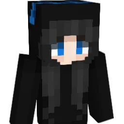 dominvis's Minecraft skin