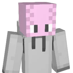 domjunior07's Minecraft skin