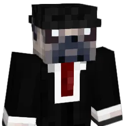 domnul_pug Minecraft avatar bust