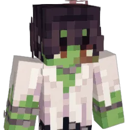 donde5 Minecraft avatar bust