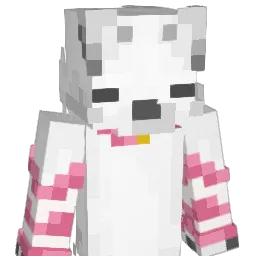 dondondonut1 Minecraft avatar bust