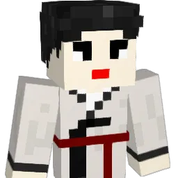 done1234 Minecraft avatar bust