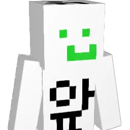 donggeom Minecraft avatar bust