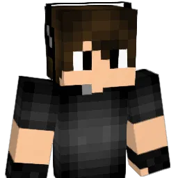 donho1334 Minecraft avatar bust