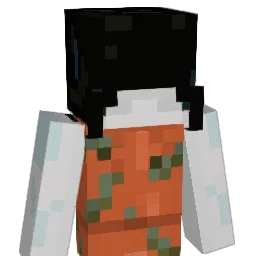 dononfire's Minecraft skin