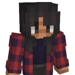 donotinteract Minecraft avatar bust