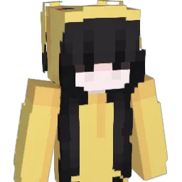 dontfuxkintrip Minecraft avatar bust