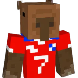 donwonbruh Minecraft avatar bust