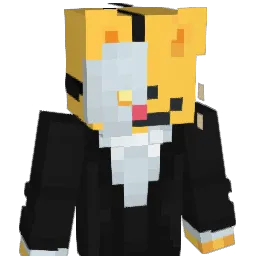 doortoe Minecraft avatar bust