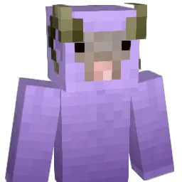 dopepro Minecraft avatar bust