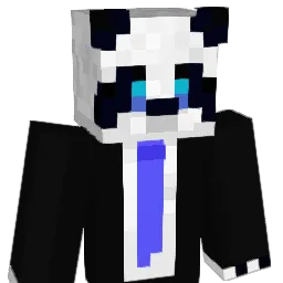 doresTT_12 Minecraft avatar bust