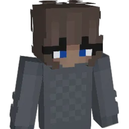 dorisek01 Minecraft avatar bust