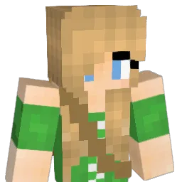 doro5673 Minecraft avatar bust