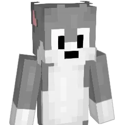 dortia Minecraft avatar bust