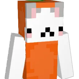 dot_ty