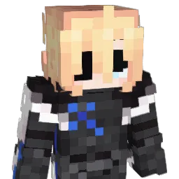 dottoresegment