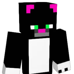 dpkrocks2's Minecraft skin
