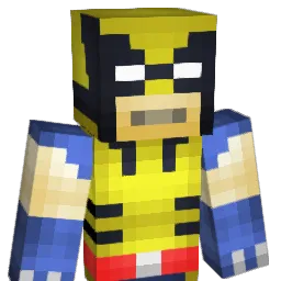 dpro91 Minecraft avatar bust