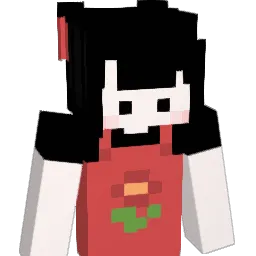 dpwls566 Minecraft avatar bust