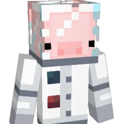 dqmned_ Minecraft avatar bust
