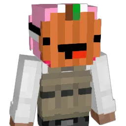 dr1ppler__ Minecraft avatar bust