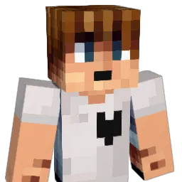dr_rmt Minecraft avatar bust