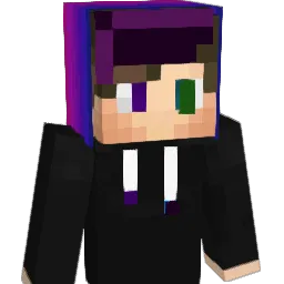 draco25812 Minecraft avatar bust
