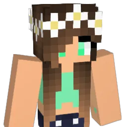 dradolinski Minecraft avatar bust