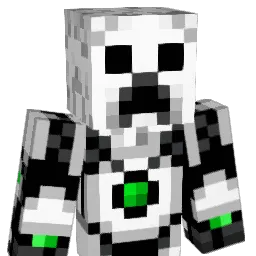 dragonkiller786 Minecraft avatar bust