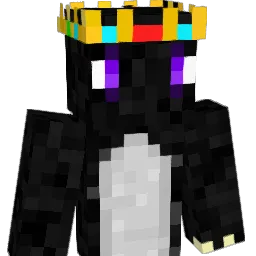 dragonsking2005 Minecraft avatar bust