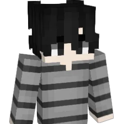 drain19 Minecraft avatar bust