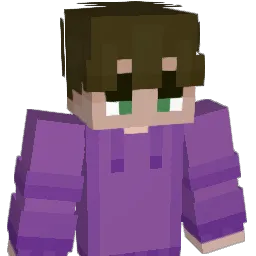 drainy61 Minecraft avatar bust