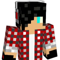 drdre300 Minecraft avatar bust