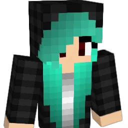 dreamer2047 Minecraft avatar bust